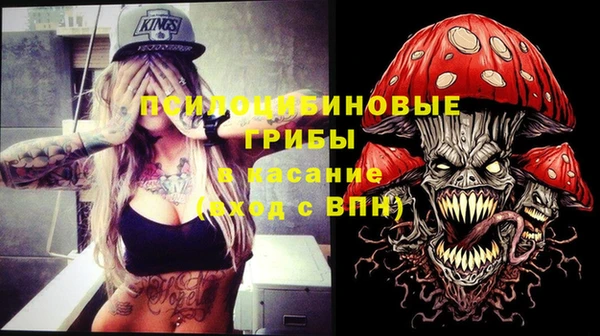 соль ск Заводоуковск